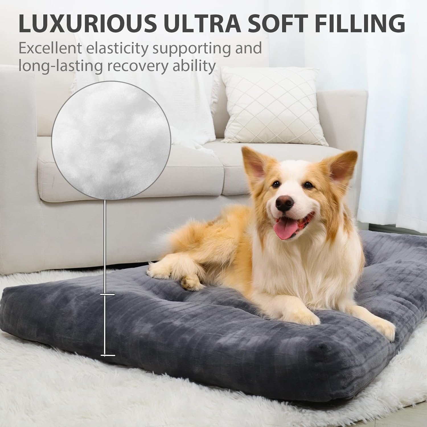 pet beds