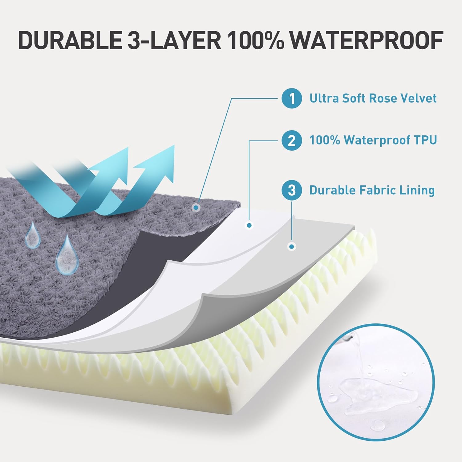 orthopedic dog bed