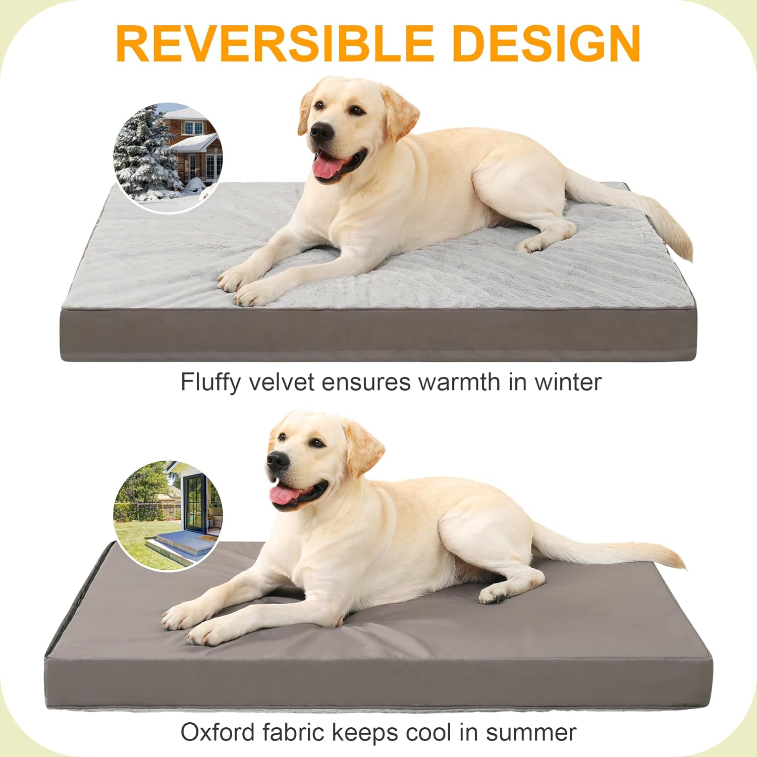 bed with dog bed