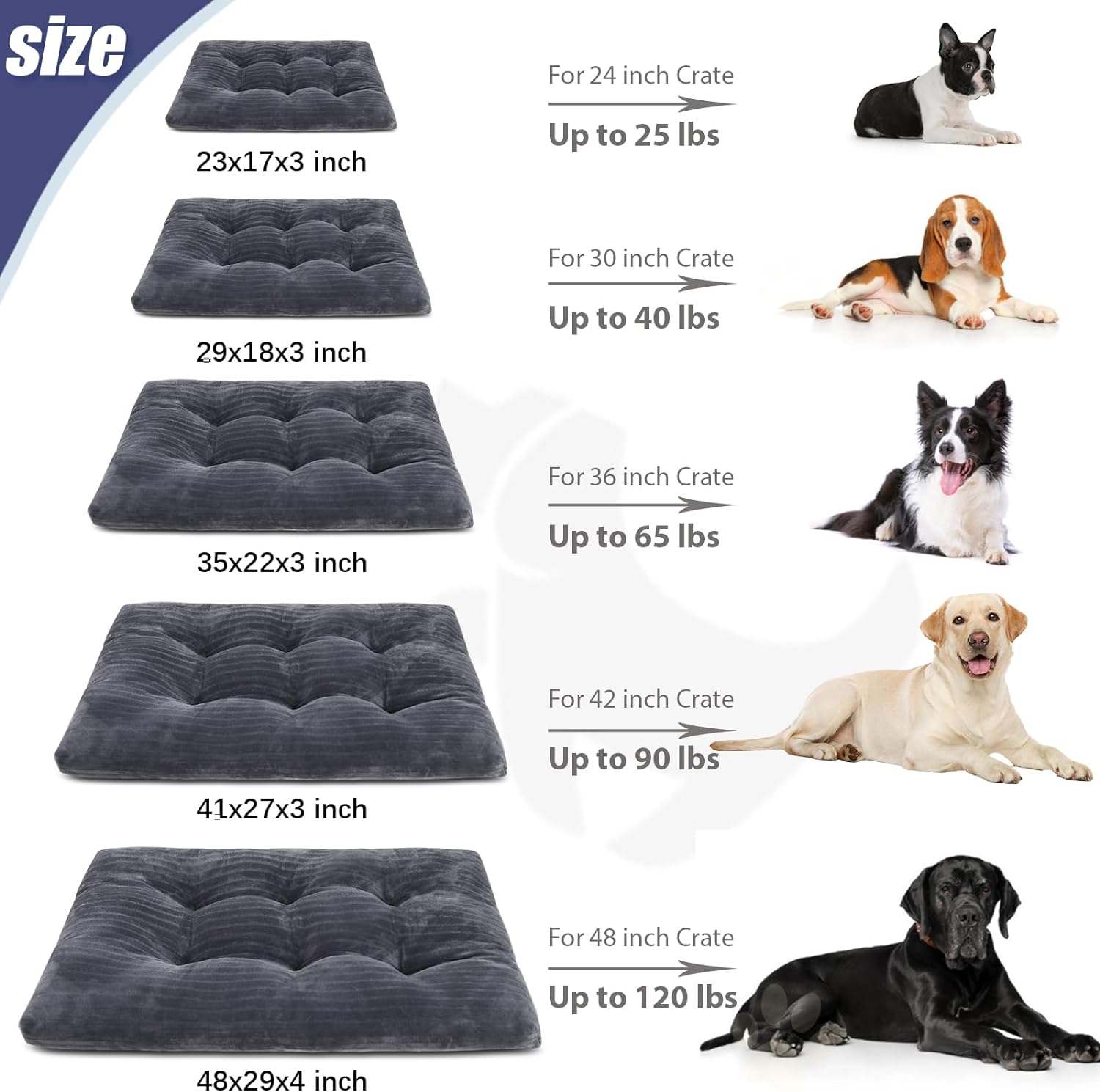 pet beds size
