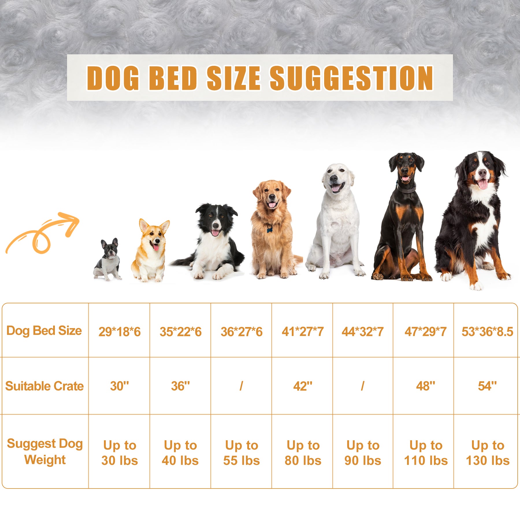 dog bed size