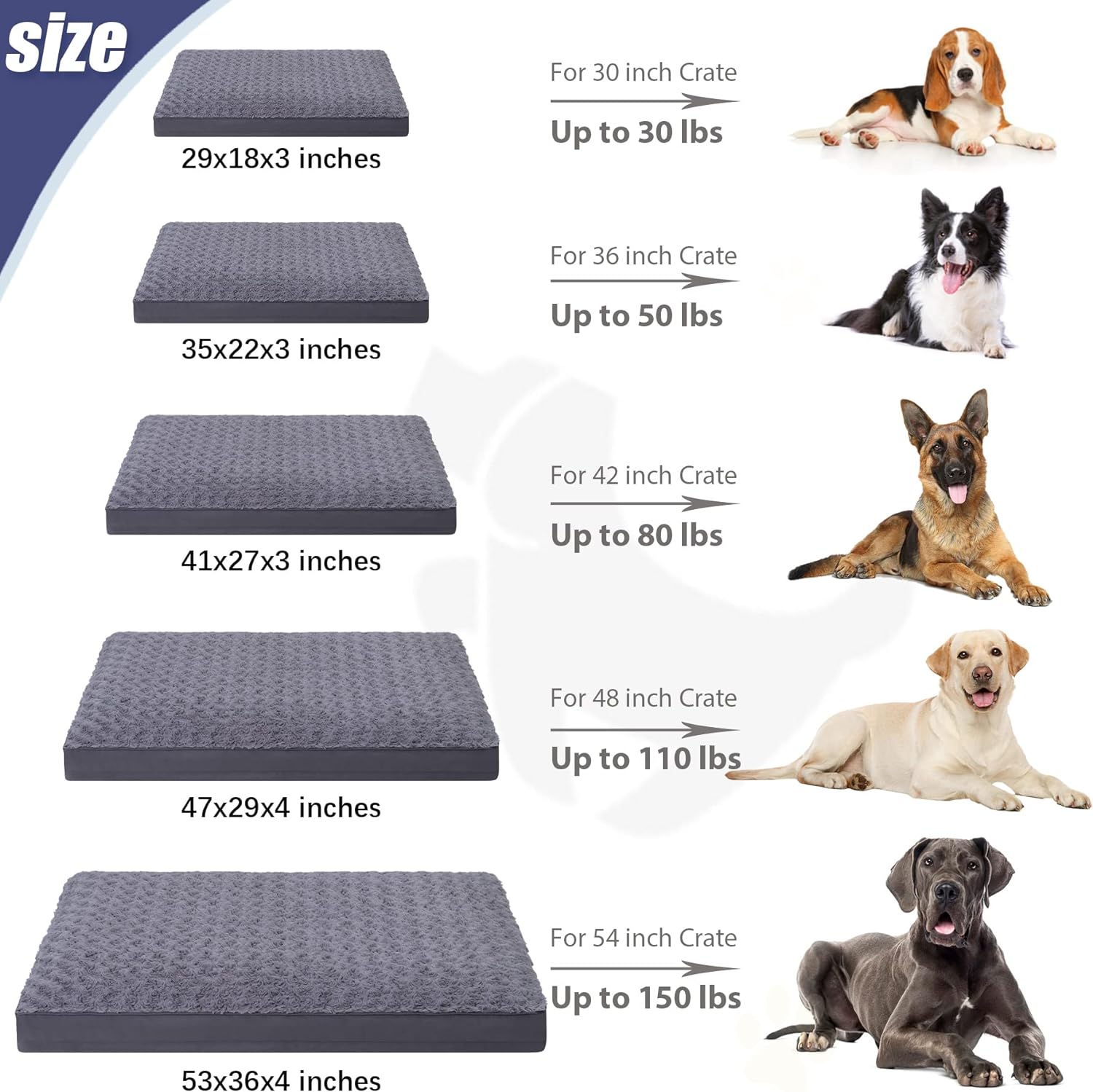orthopedic dog bed size