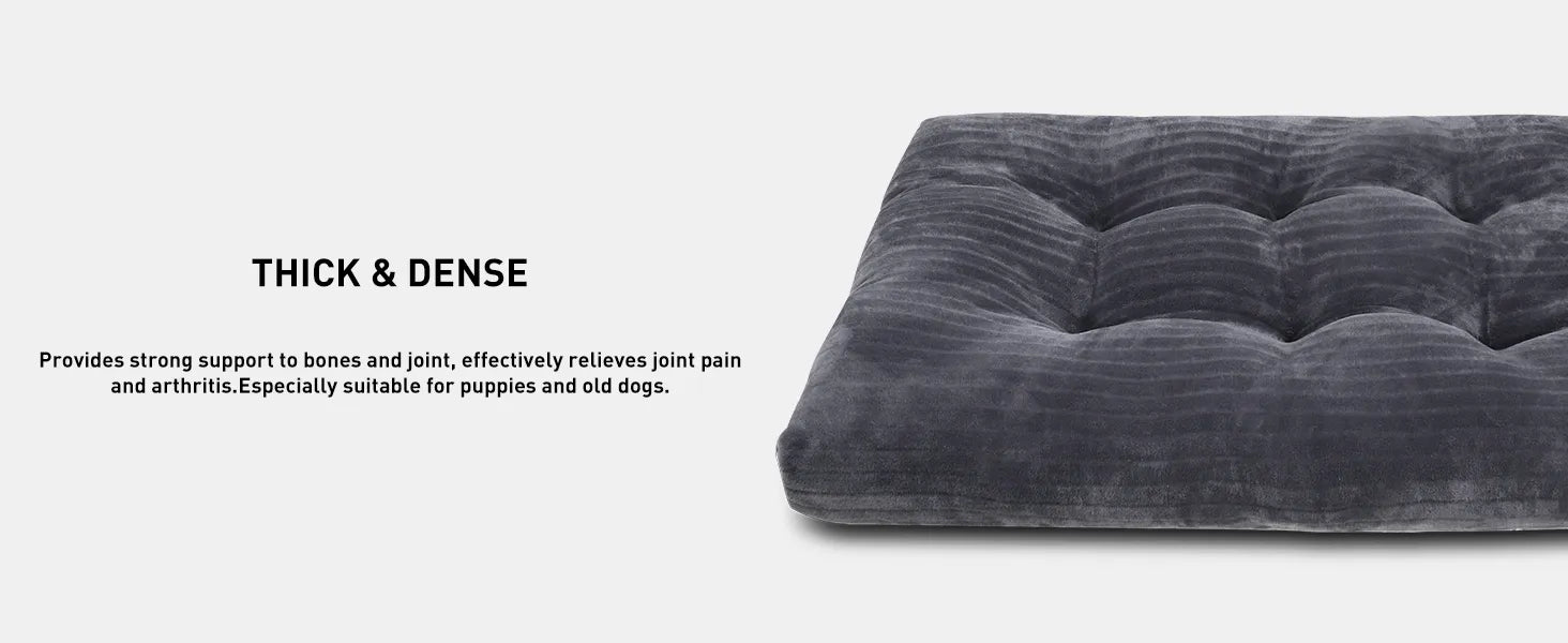 dog bed
