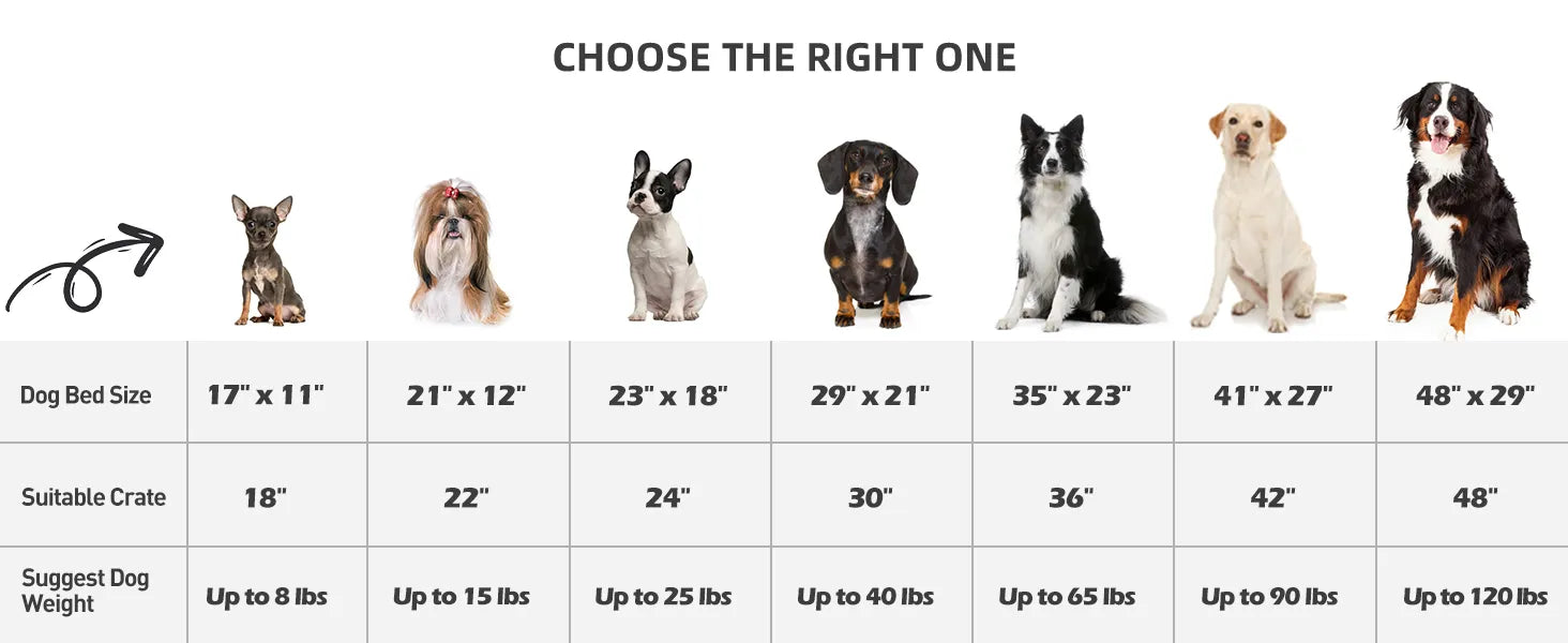 dog bed size