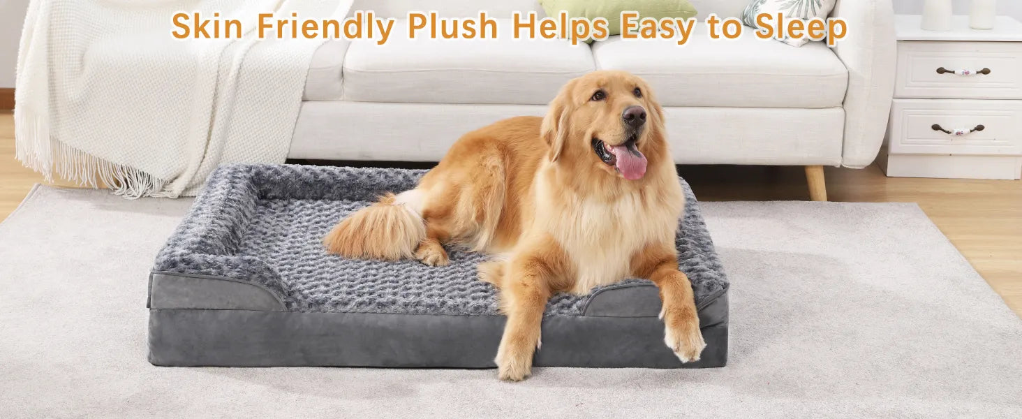 orthopedic dog bed