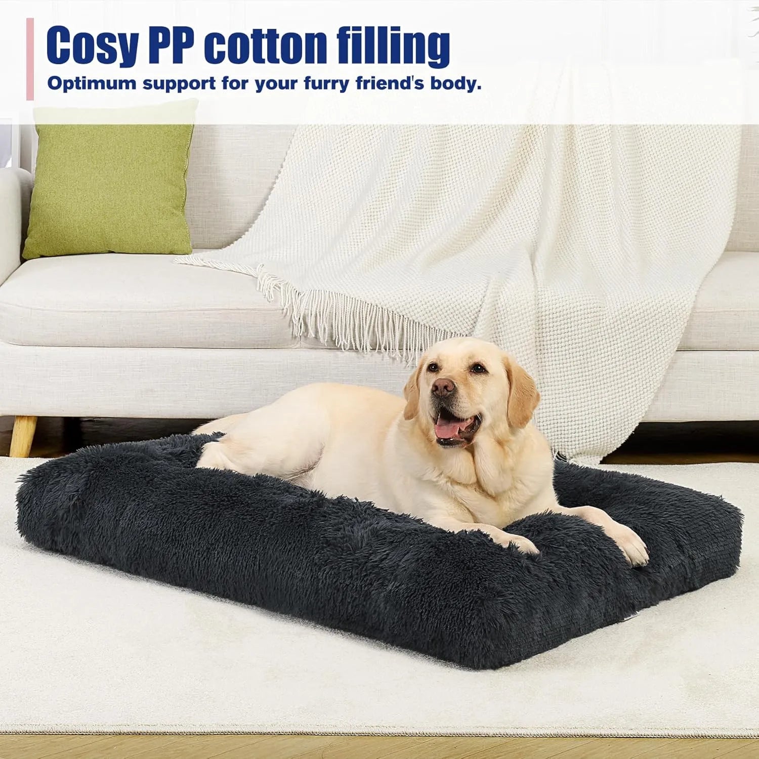 dog bed