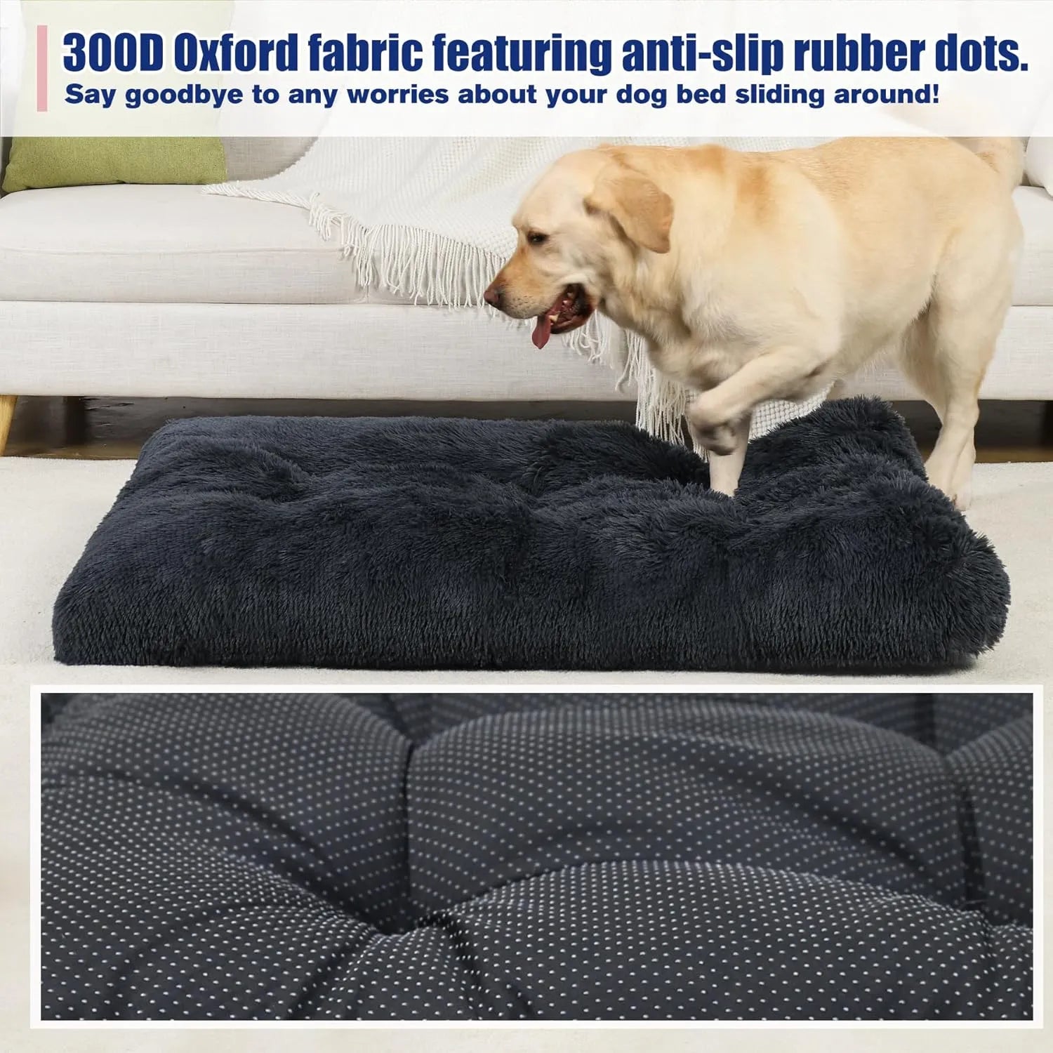 dog bed