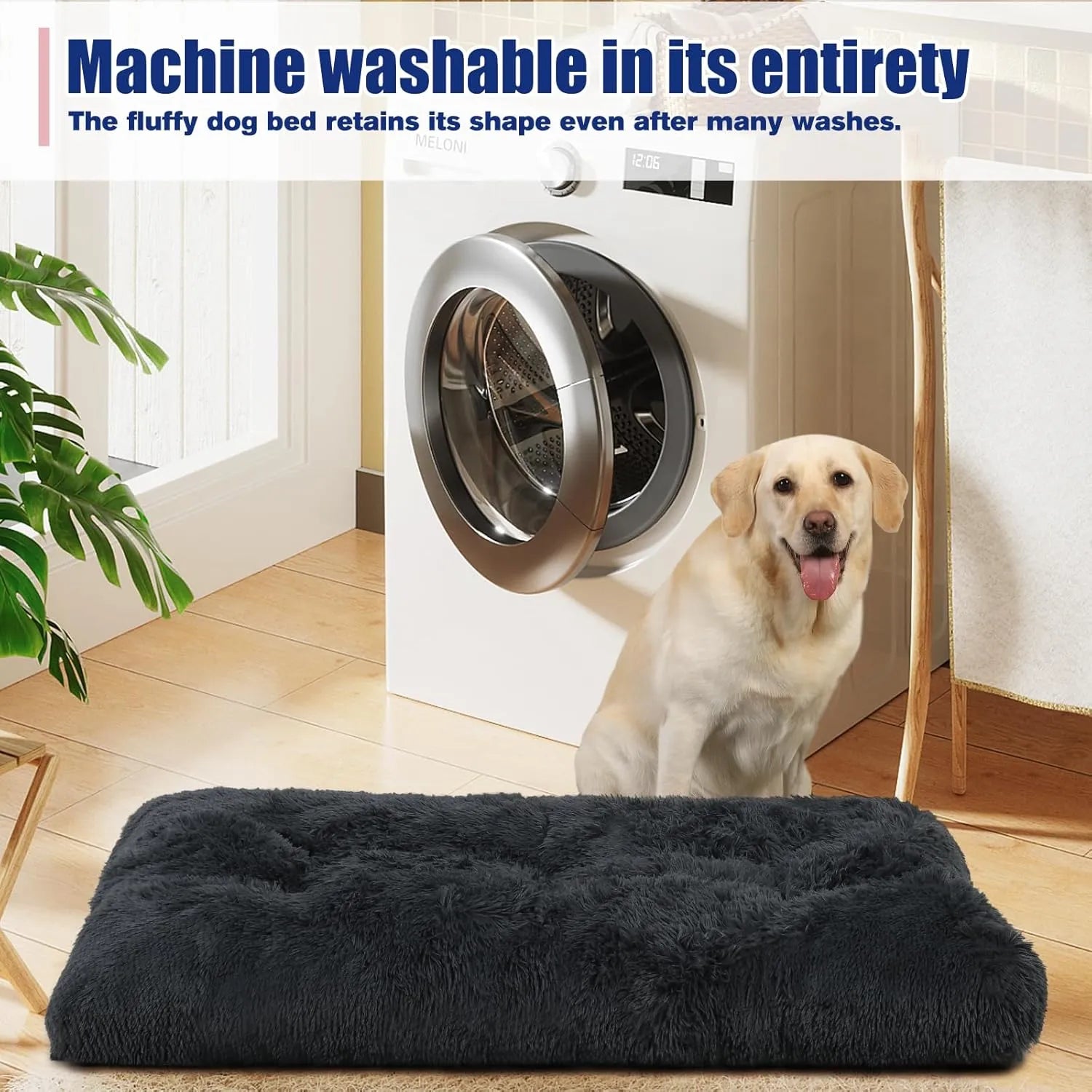 dog bed