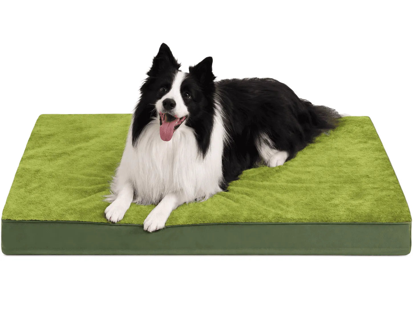 10 Best Large Dog Beds (2026)