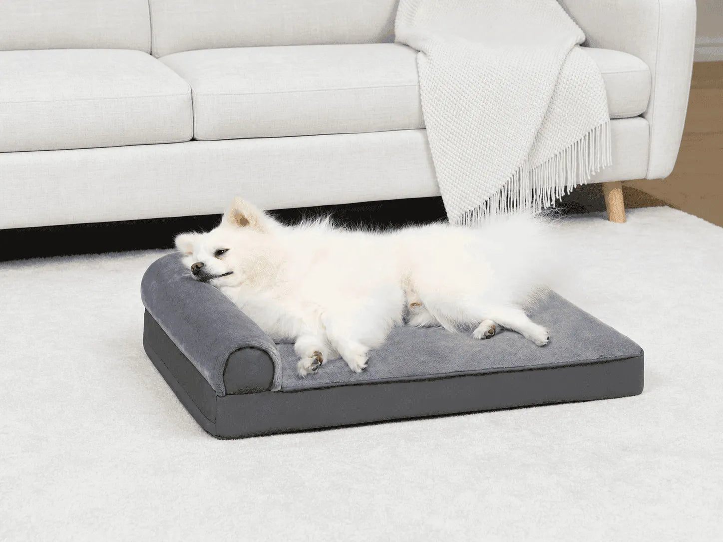 Benefits of Waterproof Dog Beds
