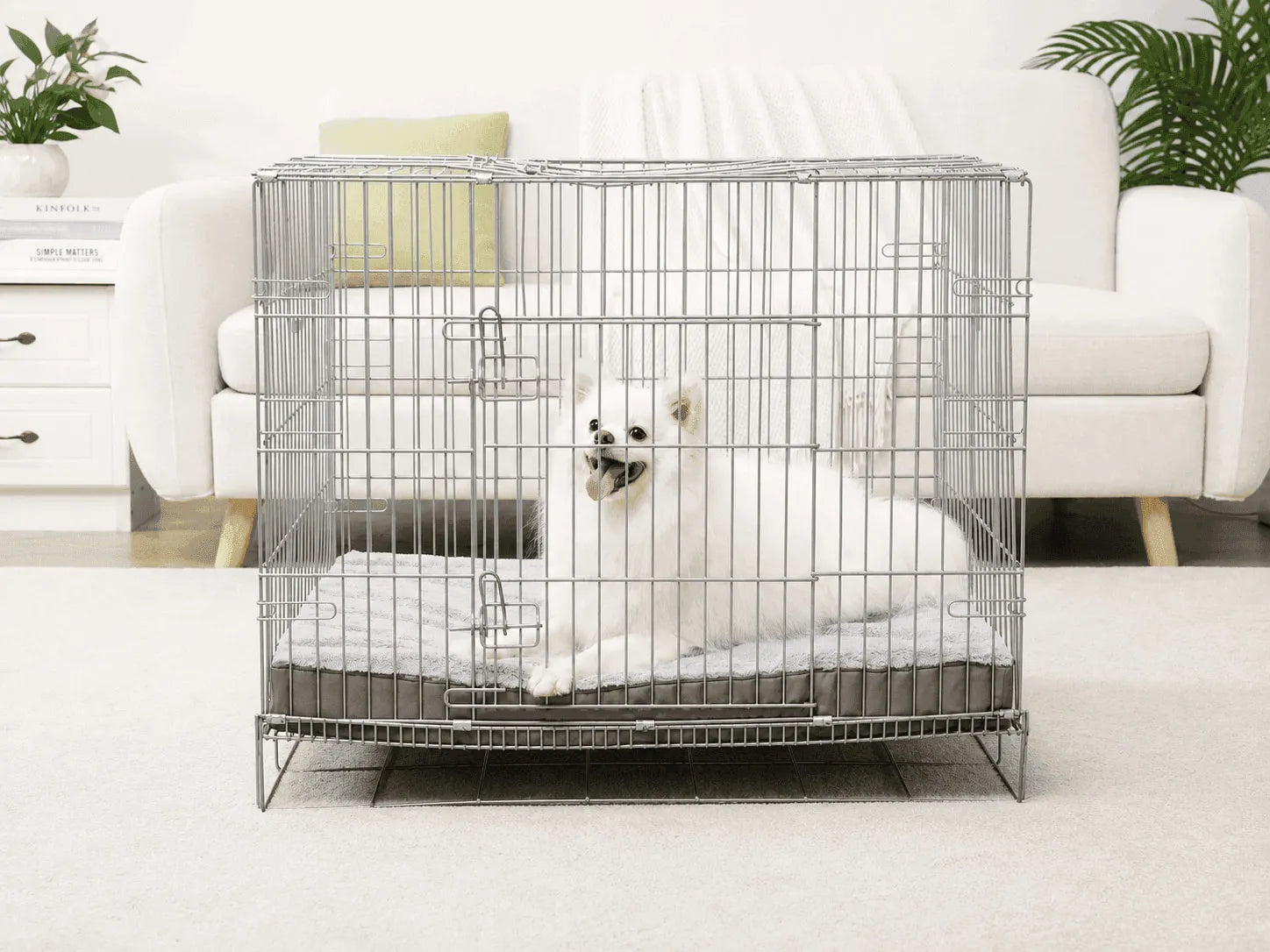 When should your dog stop sleeping in a crate?