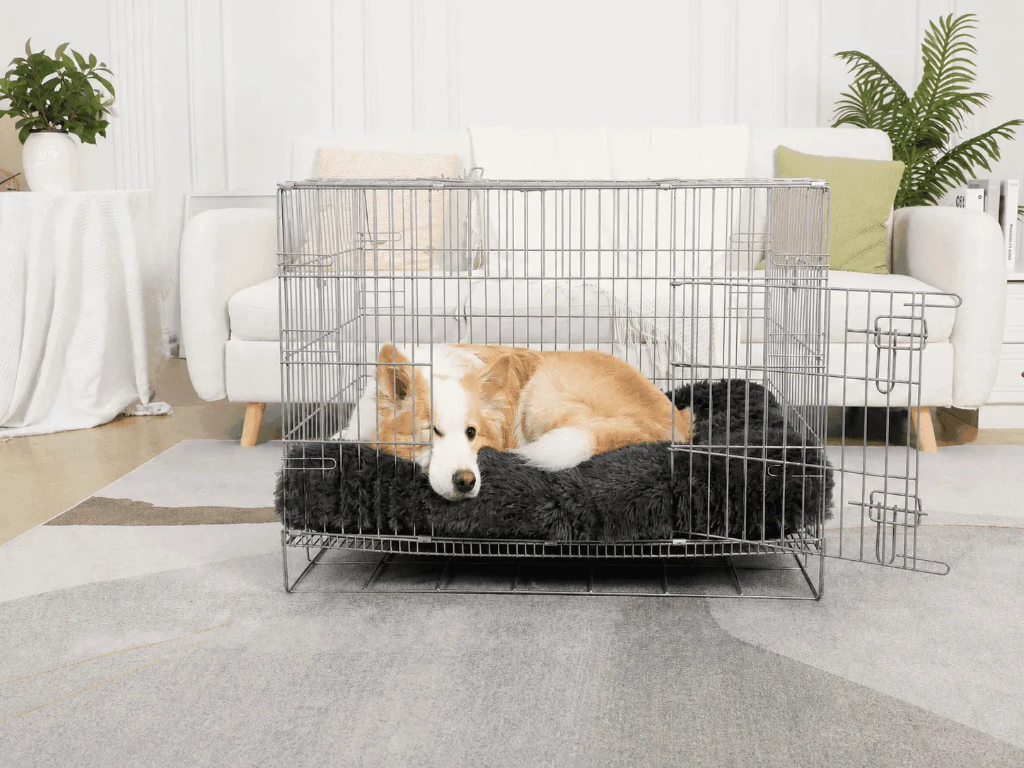 Finding the Perfect Dog Bed for Crates