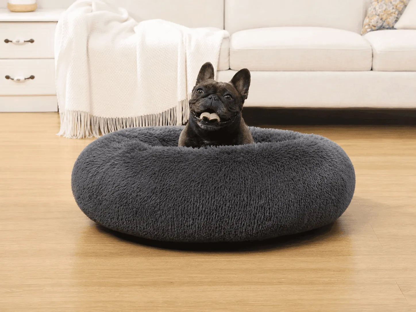 How to Choose the Right Anti Anxiety Dog Bed?