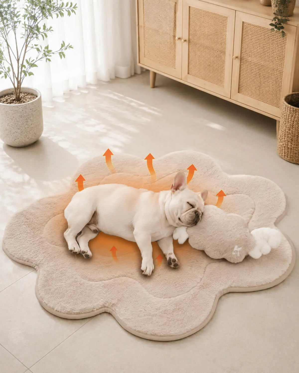 How to Keep a Puppy Warm at Night (5 Safe Ways)