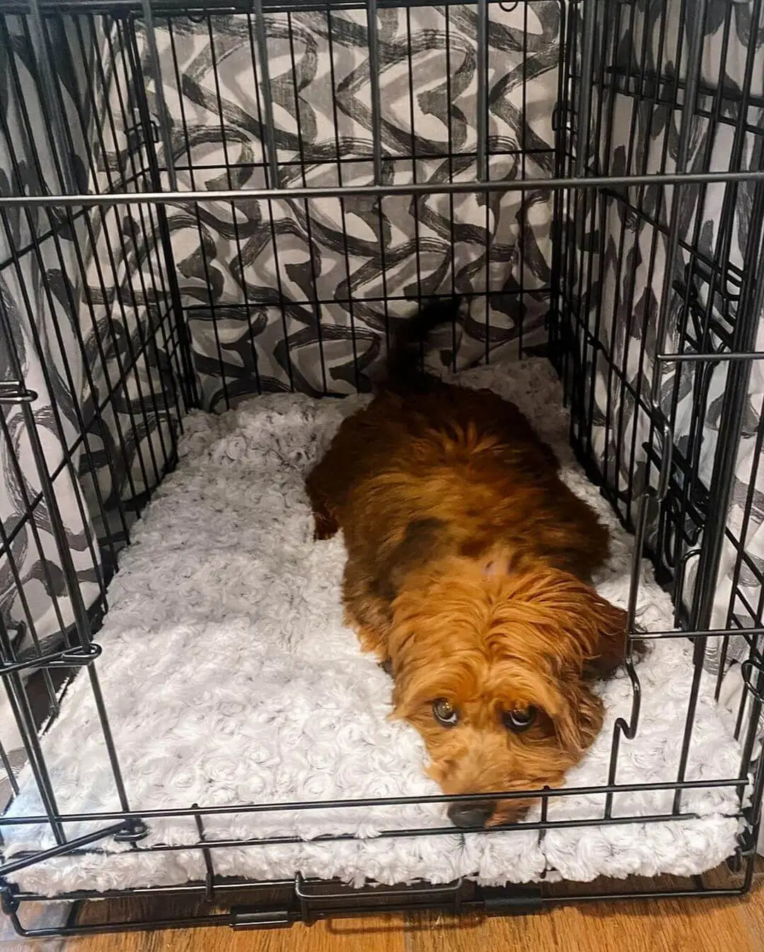 Should I cover my dog crate with a blanket at night?