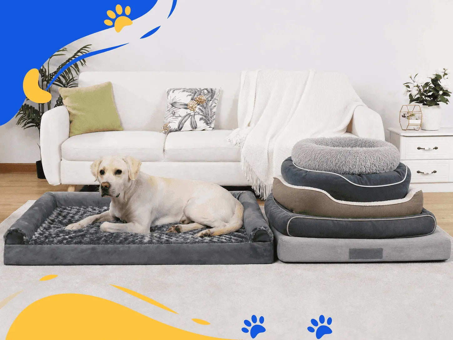 The 10 Best Dog Beds of 2026, Tested and Reviewed