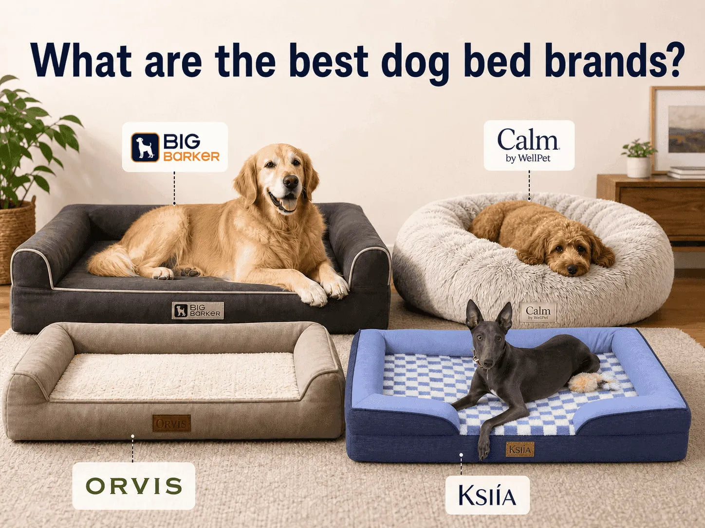 What are the best dog bed brands?