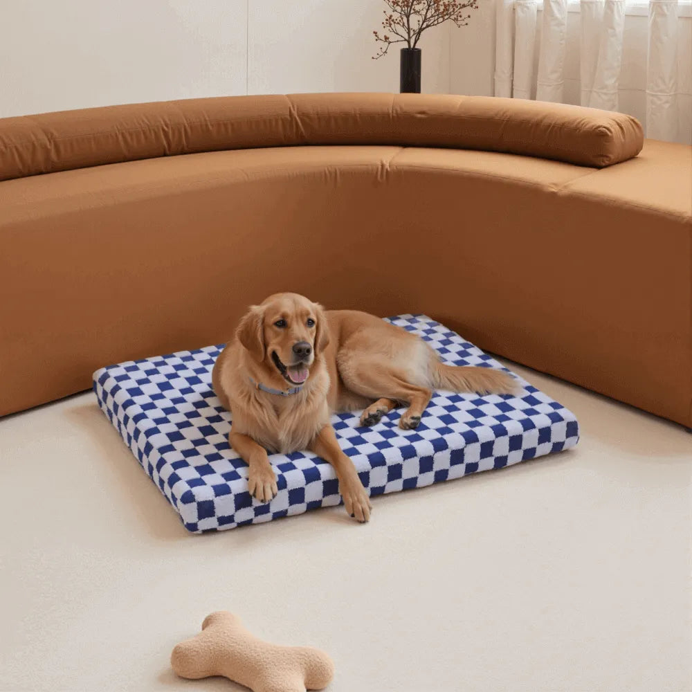 Orthopedic Dog Beds