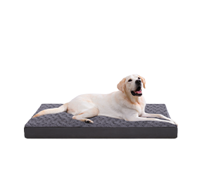 Orthopedic Dog Beds