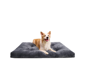 Washable Dog Beds