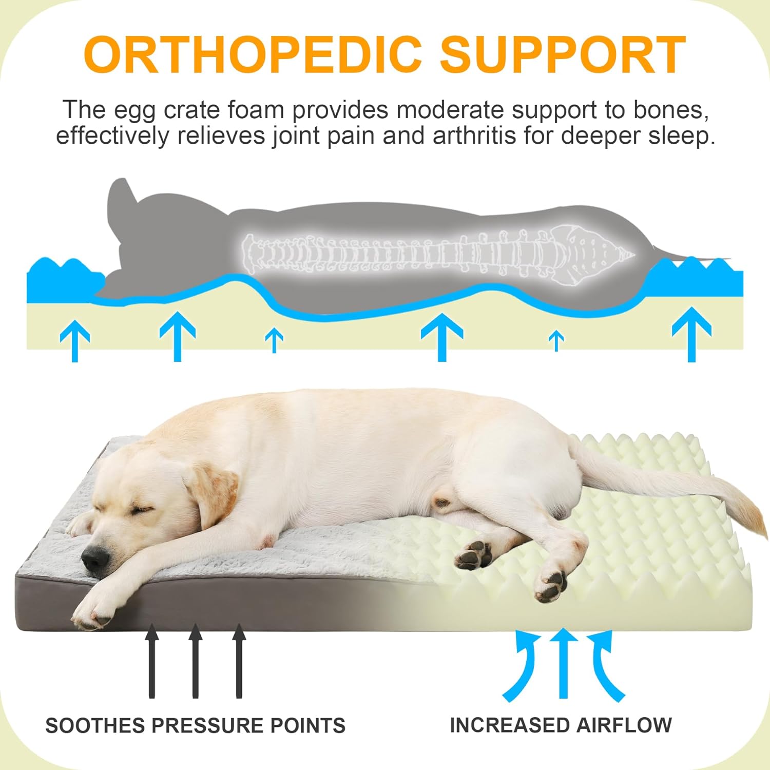 KSIIA Orthopedic Crate Bed ( For USA)