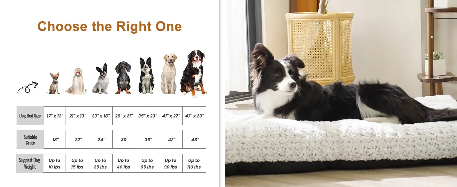 dog bed size