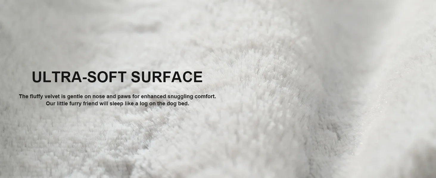 dog bed surface