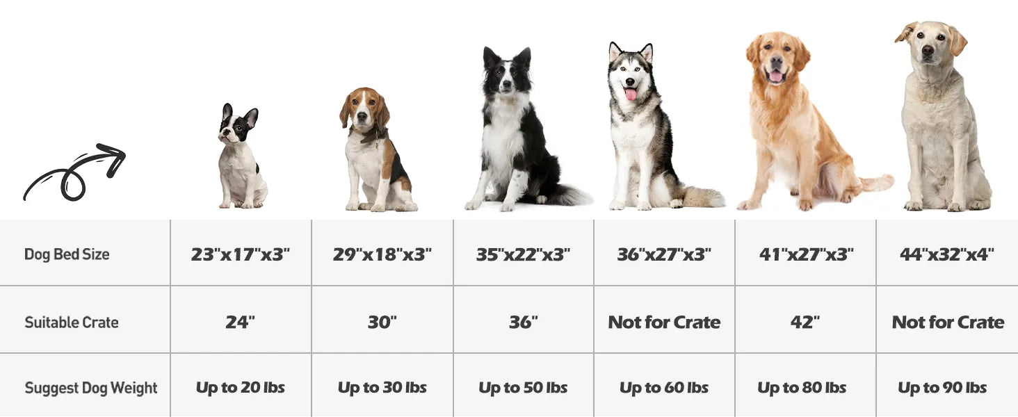 dog bed size