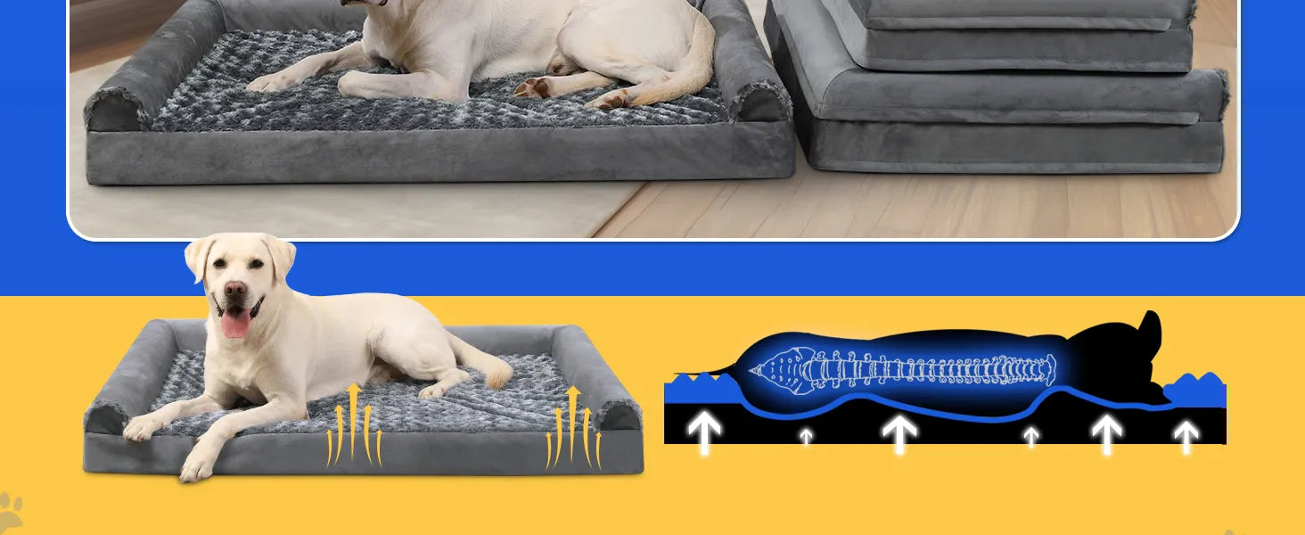 orthopedic dog bed