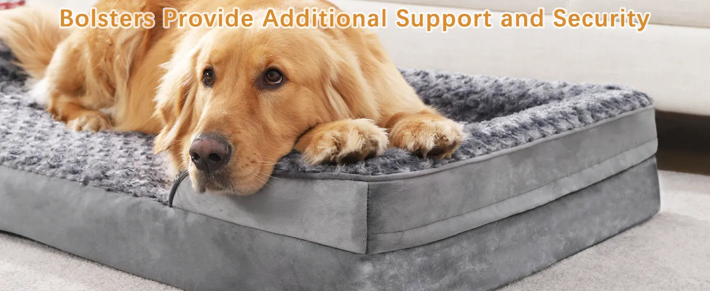 orthopedic dog bed