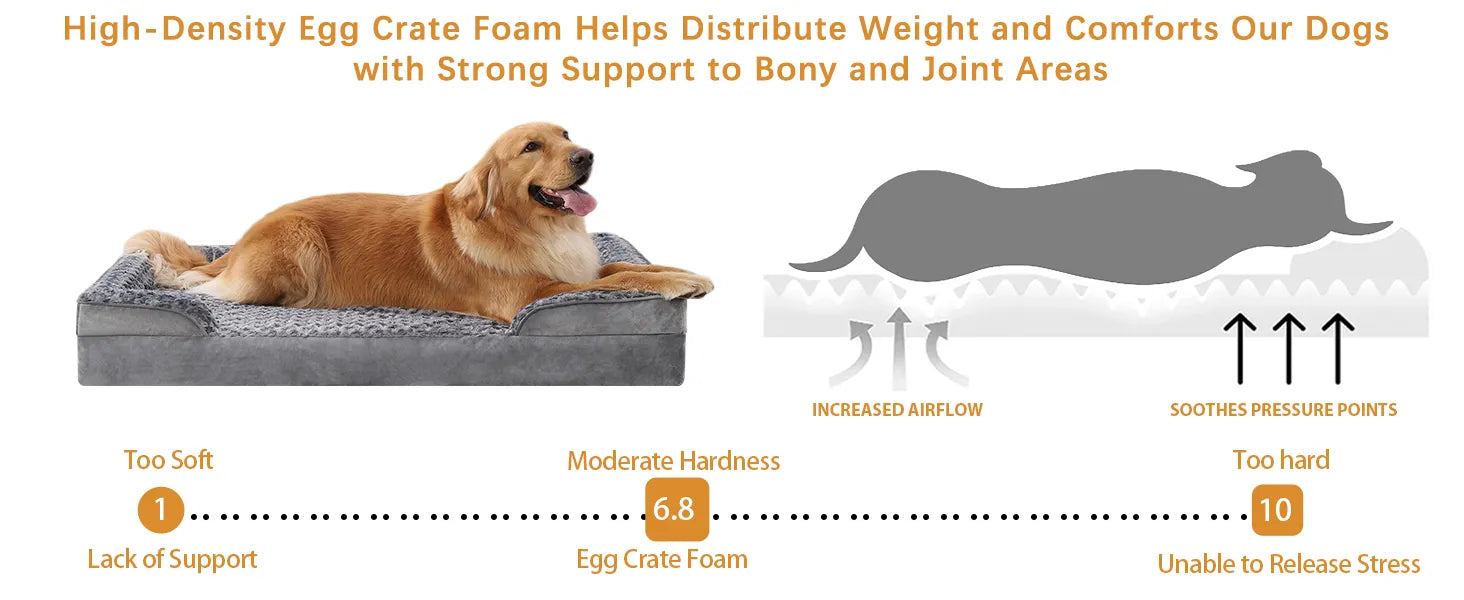 orthopedic dog bed