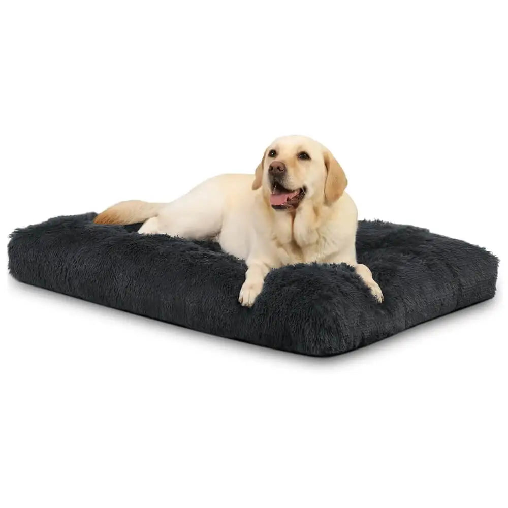 plush dog bed