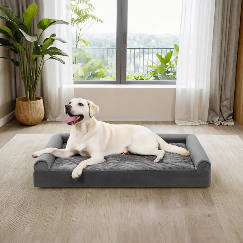 orthopedic dog bed