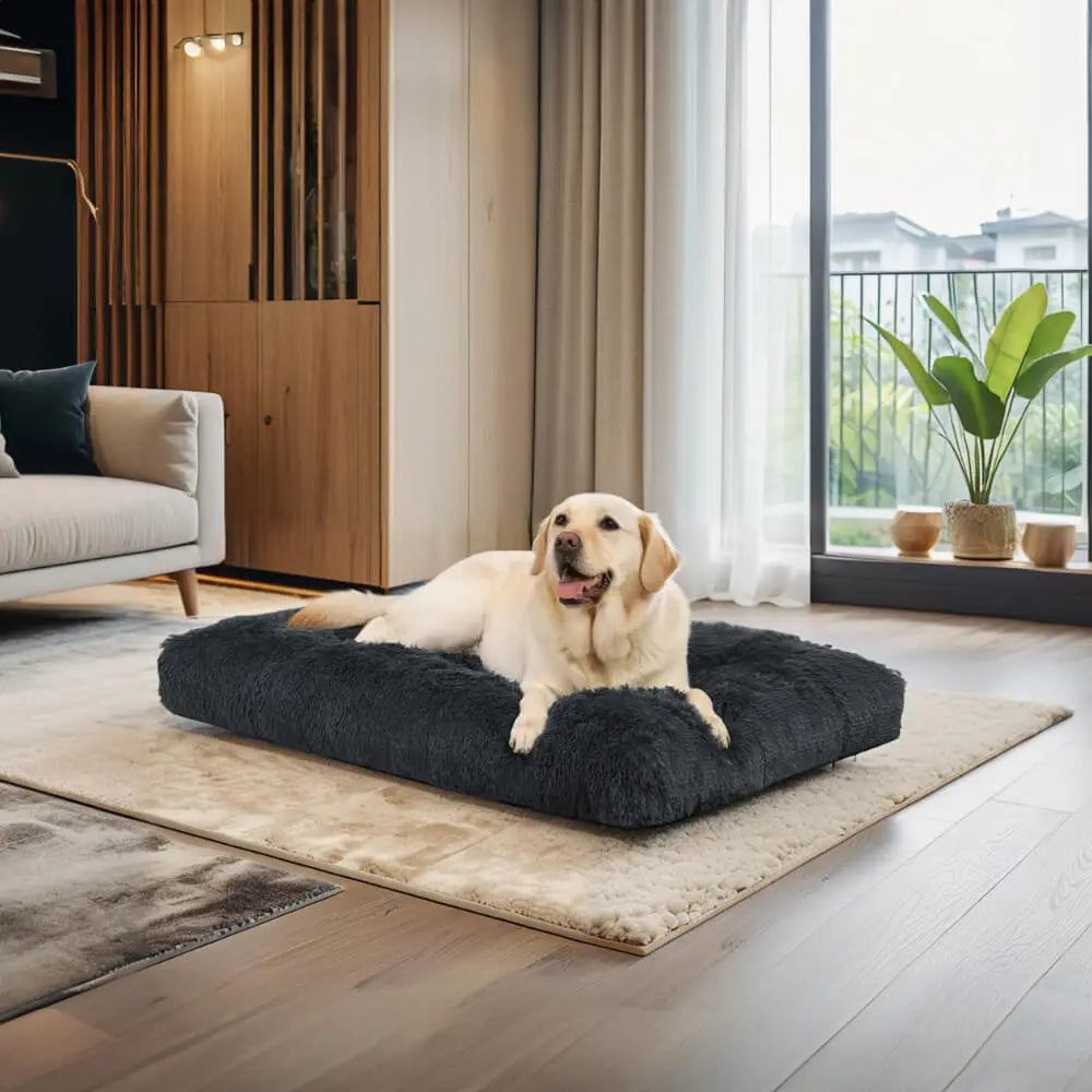 plush dog bed