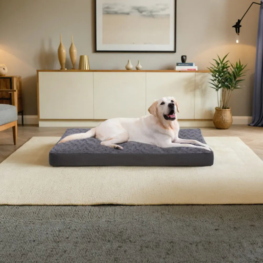 orthopedic dog bed