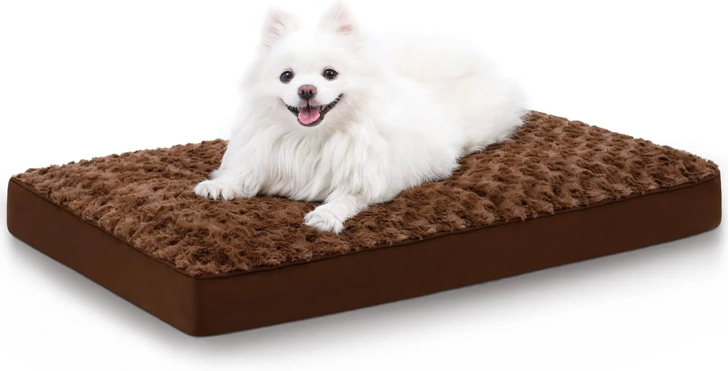 orthopedic dog bed