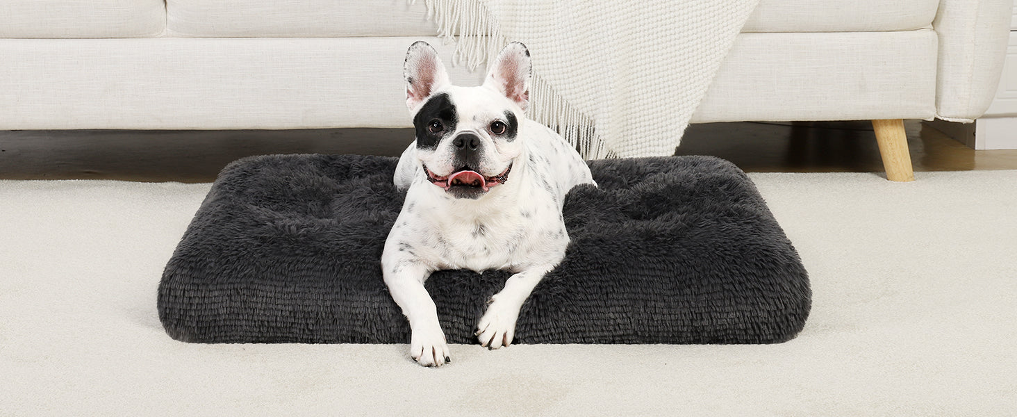 plush dog bed