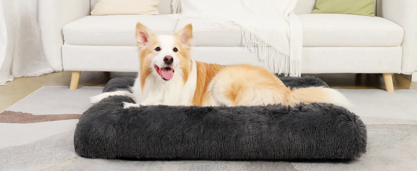 plush dog bed