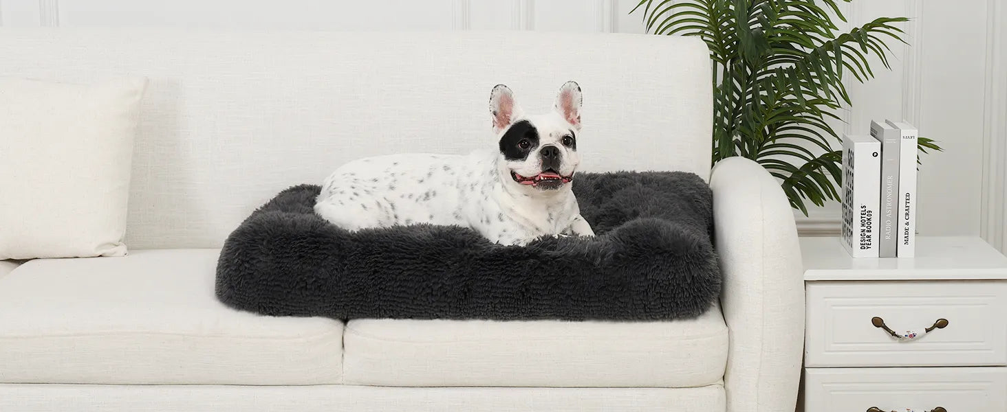 plush dog bed