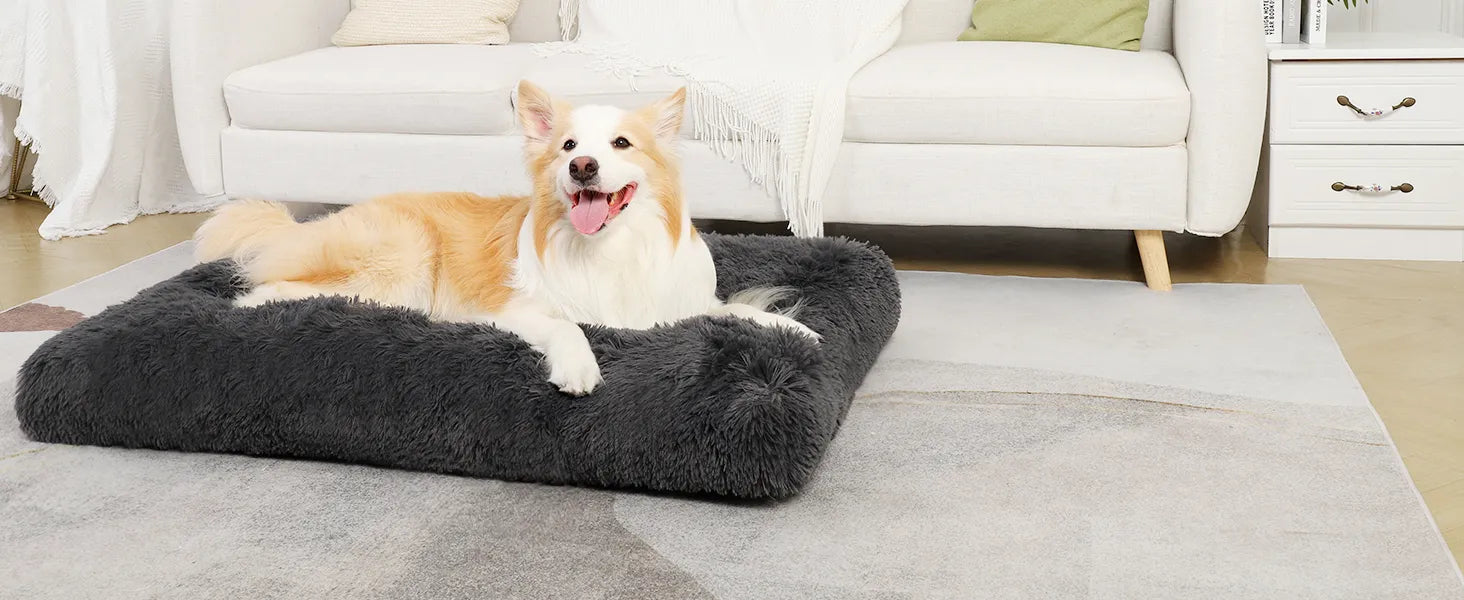 dog bed machine washable