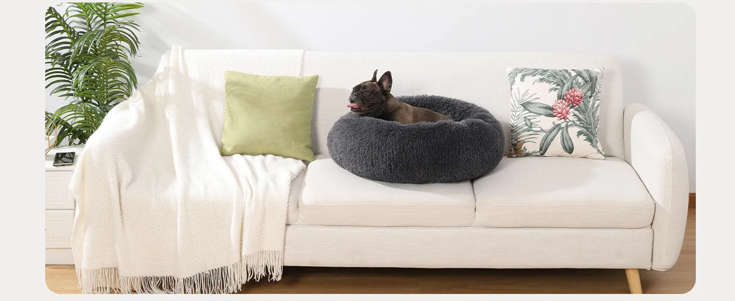 washable dog bed